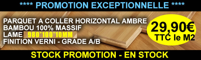 PARQUET PROMOTION BAMBOU