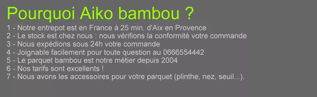 aiko specialiste du parquet bambou